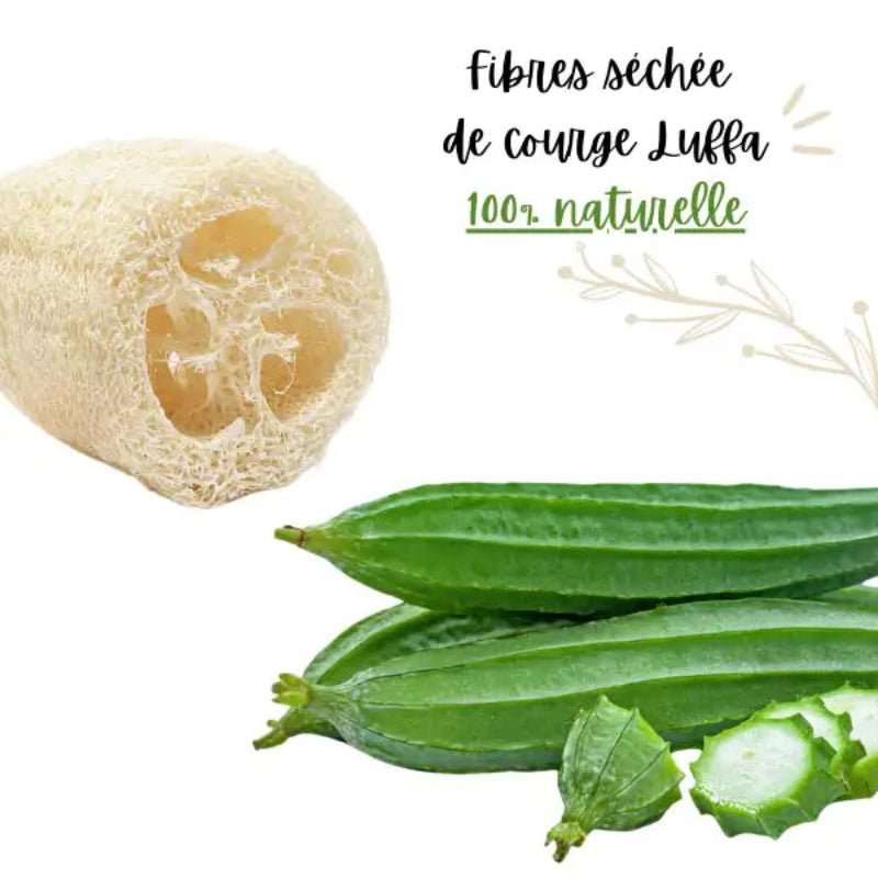 Éponges Exfoliantes Visage Luffa – Douceur Naturelle