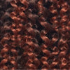 Postiche Coily Afro Puff – Volume et Style Sans Effort - Elegancecoiffure