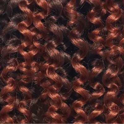 Postiche Coily Afro Puff – Volume et Style Sans Effort - Elegancecoiffure